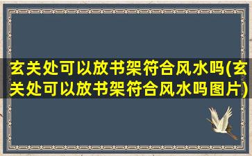 玄关处可以放书架符合风水吗(玄关处可以放书架符合风水吗图片)