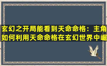 玄幻之开局能看到天命命格：主角如何利用天命命格在玄幻世界中崛起