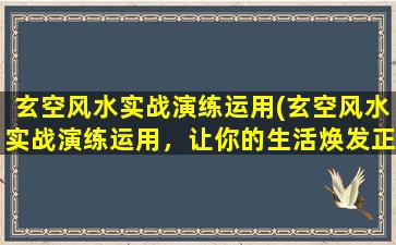 玄空风水实战演练运用(玄空风水实战演练运用，让你的生活焕发正能量)