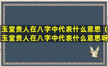 玉堂贵人在八字中代表什么意思（玉堂贵人在八字中代表什么意思呀）