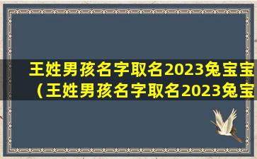 王姓男孩名字取名2023兔宝宝（王姓男孩名字取名2023兔宝宝怎么取）