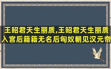 王昭君天生丽质,王昭君天生丽质入宫后籍籍无名后匈奴朝见汉元帝求和亲