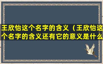 王欣怡这个名字的含义（王欣怡这个名字的含义还有它的意义是什么）