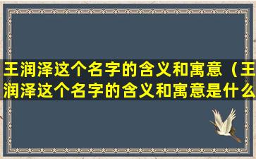 王润泽这个名字的含义和寓意（王润泽这个名字的含义和寓意是什么）