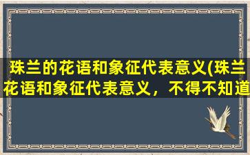 珠兰的花语和象征代表意义(珠兰花语和象征代表意义，不得不知道的全面解读！)