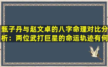 甄子丹与赵文卓的八字命理对比分析：两位武打巨星的命运轨迹有何异同