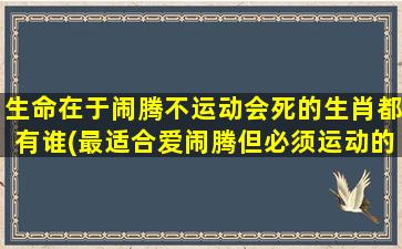 生命在于闹腾不运动会死的生肖都有谁(最适合爱闹腾但必须运动的生肖排行榜)