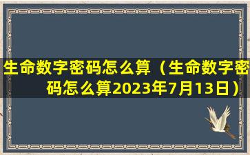 生命数字密码怎么算（生命数字密码怎么算2023年7月13日）