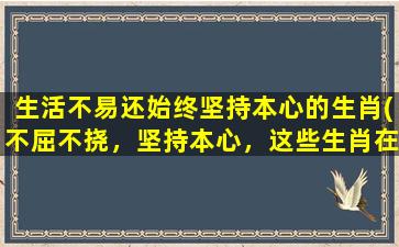 生活不易还始终坚持本心的生肖(不屈不挠，坚持本心，这些生肖在生活中是如何做到的？)