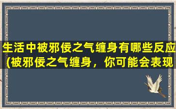 生活中被邪佞之气缠身有哪些反应(被邪佞之气缠身，你可能会表现出这四种反应)