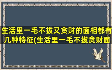 生活里一毛不拔又贪财的面相都有几种特征(生活里一毛不拔贪财面相特征*！)