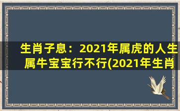 生肖子息：2021年属虎的人生属牛宝宝行不行(2021年生肖虎父母必看：属牛宝宝运势大揭秘！)