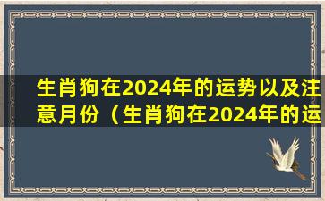 生肖狗在2024年的运势以及注意月份（生肖狗在2024年的运势以及注意月份94年）