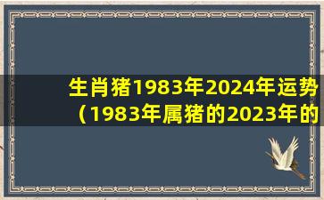 生肖猪1983年2024年运势（1983年属猪的2023年的财运和运势）