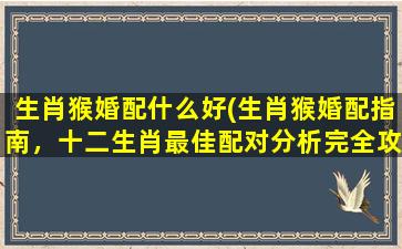 生肖猴婚配什么好(生肖猴婚配指南，十二生肖最佳配对分析完全攻略)