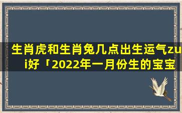 生肖虎和生肖兔几点出生运气zui好「2022年一月份生的宝宝是什么属相」