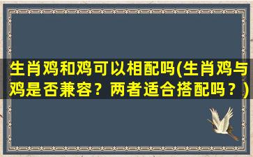 生肖鸡和鸡可以相配吗(生肖鸡与鸡是否兼容？两者适合搭配吗？)