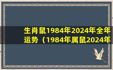 生肖鼠1984年2024年全年运势（1984年属鼠2024年运势及运程男性）