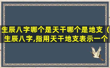 生辰八字哪个是天干哪个是地支（生辰八字,指用天干地支表示一个人）