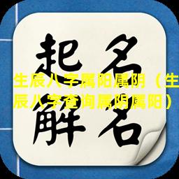 生辰八字属阳属阴（生辰八字查询属阴属阳）