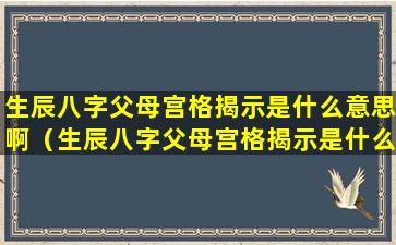 生辰八字父母宫格揭示是什么意思啊（生辰八字父母宫格揭示是什么意思啊女孩）