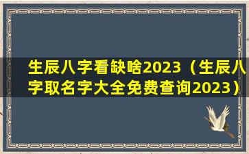 生辰八字看缺啥2023（生辰八字取名字大全免费查询2023）