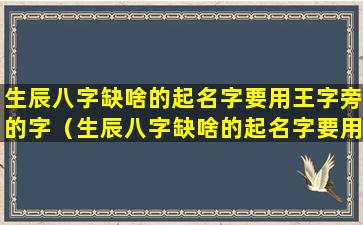 生辰八字缺啥的起名字要用王字旁的字（生辰八字缺啥的起名字要用王字旁的字起名）