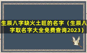 生辰八字缺火土旺的名字（生辰八字取名字大全免费查询2023）