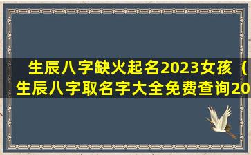 生辰八字缺火起名2023女孩（生辰八字取名字大全免费查询2023）