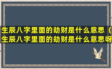 生辰八字里面的劫财是什么意思（生辰八字里面的劫财是什么意思呀）