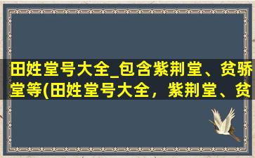 田姓堂号大全_包含紫荆堂、贫骄堂等(田姓堂号大全，紫荆堂、贫骄堂等堂名汇总)