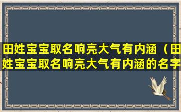 田姓宝宝取名响亮大气有内涵（田姓宝宝取名响亮大气有内涵的名字）