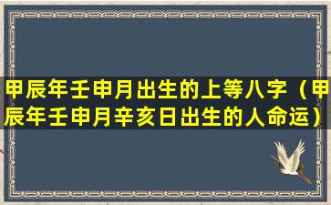 甲辰年壬申月出生的上等八字（甲辰年壬申月辛亥日出生的人命运）