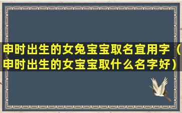 申时出生的女兔宝宝取名宜用字（申时出生的女宝宝取什么名字好）