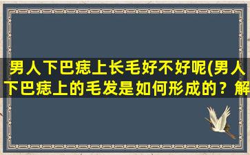 男人下巴痣上长毛好不好呢(男人下巴痣上的毛发是如何形成的？解决方法大全！)