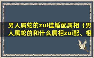 男人属蛇的zui佳婚配属相（男人属蛇的和什么属相zui配、相克）