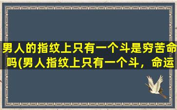 男人的指纹上只有一个斗是穷苦命吗(男人指纹上只有一个斗，命运会如何？探讨指纹学)