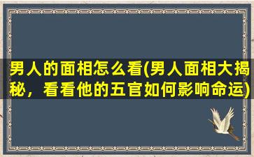 男人的面相怎么看(男人面相大揭秘，看看他的五官如何影响命运)