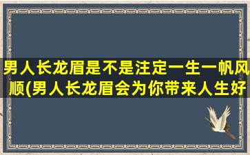 男人长龙眉是不是注定一生一帆风顺(男人长龙眉会为你带来人生好运？)