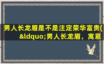 男人长龙眉是不是注定荣华富贵(“男人长龙眉，寓意荣华富贵？如何解析龙眉面相学？”)