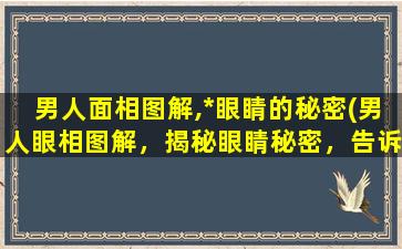 男人面相图解,*眼睛的秘密(男人眼相图解，揭秘眼睛秘密，告诉你TA的内心需求！)