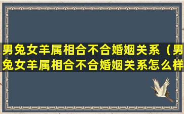 男兔女羊属相合不合婚姻关系（男兔女羊属相合不合婚姻关系怎么样）