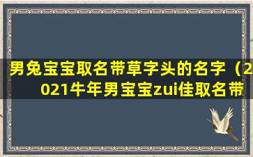 男兔宝宝取名带草字头的名字（2021牛年男宝宝zui佳取名带草字头的字）