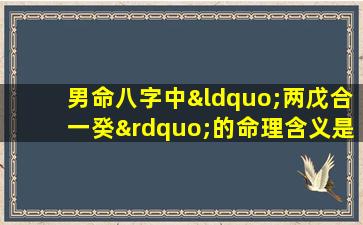 男命八字中“两戊合一癸”的命理含义是什么