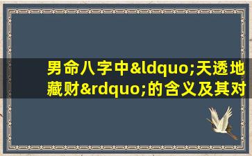 男命八字中“天透地藏财”的含义及其对命运的影响是什么