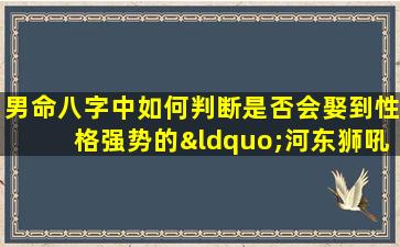 男命八字中如何判断是否会娶到性格强势的“河东狮吼”型女性