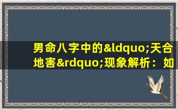 男命八字中的“天合地害”现象解析：如何影响个人命运