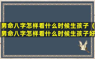 男命八字怎样看什么时候生孩子（男命八字怎样看什么时候生孩子好）