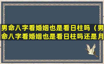 男命八字看婚姻也是看日柱吗（男命八字看婚姻也是看日柱吗还是月柱）