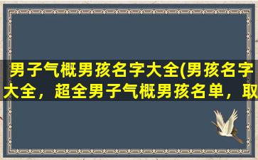 男子气概男孩名字大全(男孩名字大全，超全男子气概男孩名单，取名攻略等你来！)